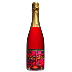 Sylvie Spielmann, Ang'Ailes, Bulles, 2021, 75 cl