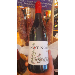 Losonci - Pinot Noir - 2019 - Rouge - 13.5% - 75CL - Hongrie